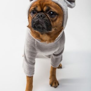 Süßer kleiner Welpen-Pullover